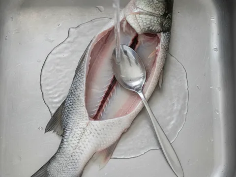 Tangan membersihkan rongga perut ikan siakap di bawah air paip, mencungkil salur darah di sepanjang tulang belakang